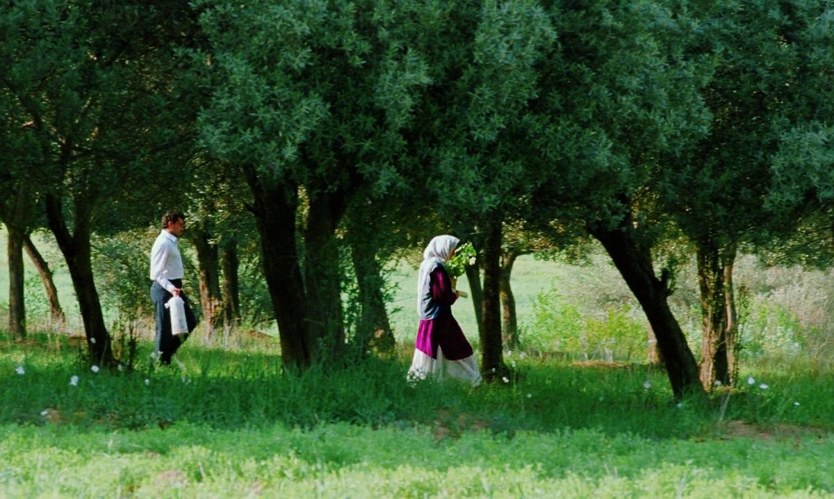 Hommage à Abbas Kiarostami #7, Au travers des oliviers, 1994